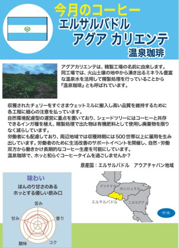 エルサルバドル　温泉珈琲.jpg