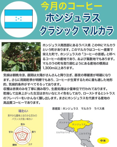 ホンジュラスクラシックマルカラ.jpg