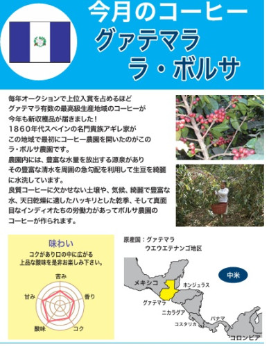 グァテマララボルサ.jpg