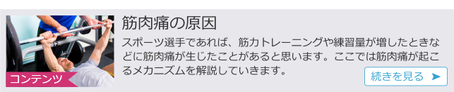 筋肉痛の原因.png