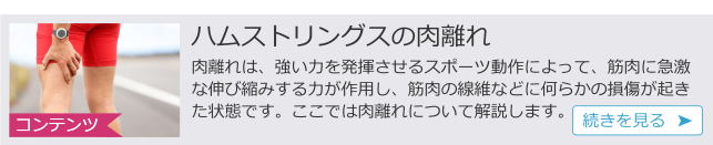 ハム肉離れ.png