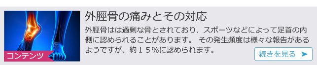 ｃ外脛骨.png