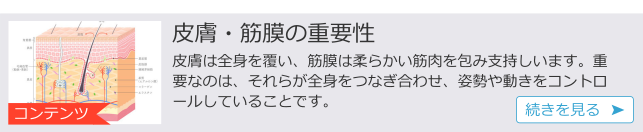 ｃ皮膚筋膜の重要性.png