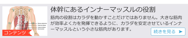 ｃ体幹インナーマッスルの役割.png
