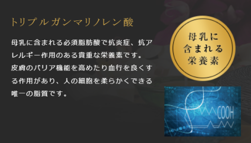 ガンマオイルの説明.png