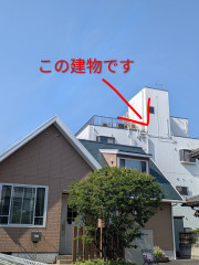 PXL_20260425_235112807~2.jpg