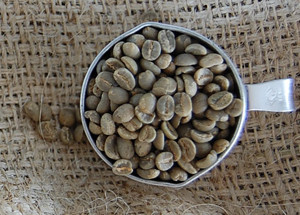 生豆:タンザニア モンデュール