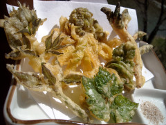 山菜の天ぷら盛り合わせ