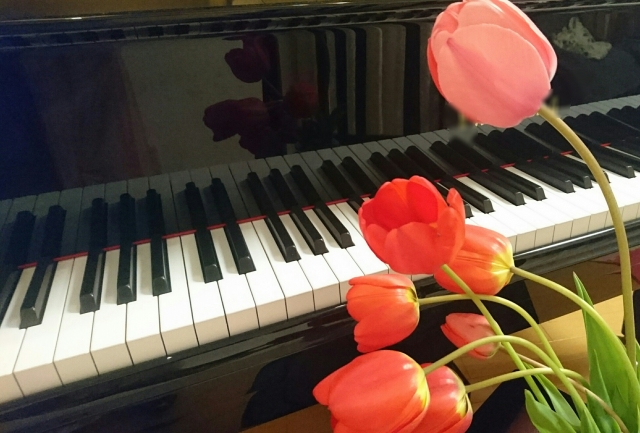 発表会リハーサル