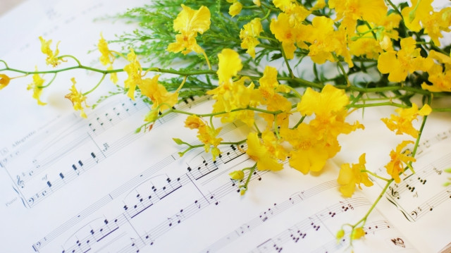 【大人のピアノ・月1、2回コース】中学生～大人の方対象