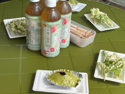 桑の葉茶、桑の葉蒸しパンケーキ、桑の葉てんぷら.jpg
