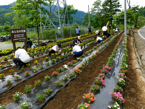 中学生と一緒に花植えした様子.jpg