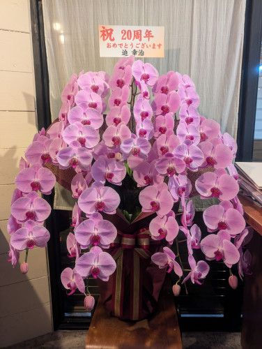 20周年花1.jpg