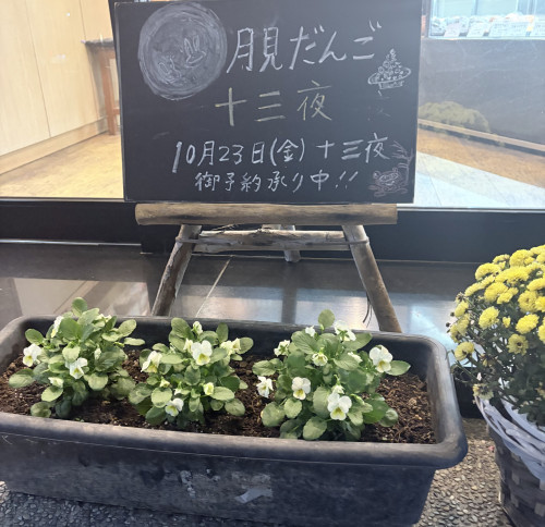 ならや「十三夜」月見だんご
