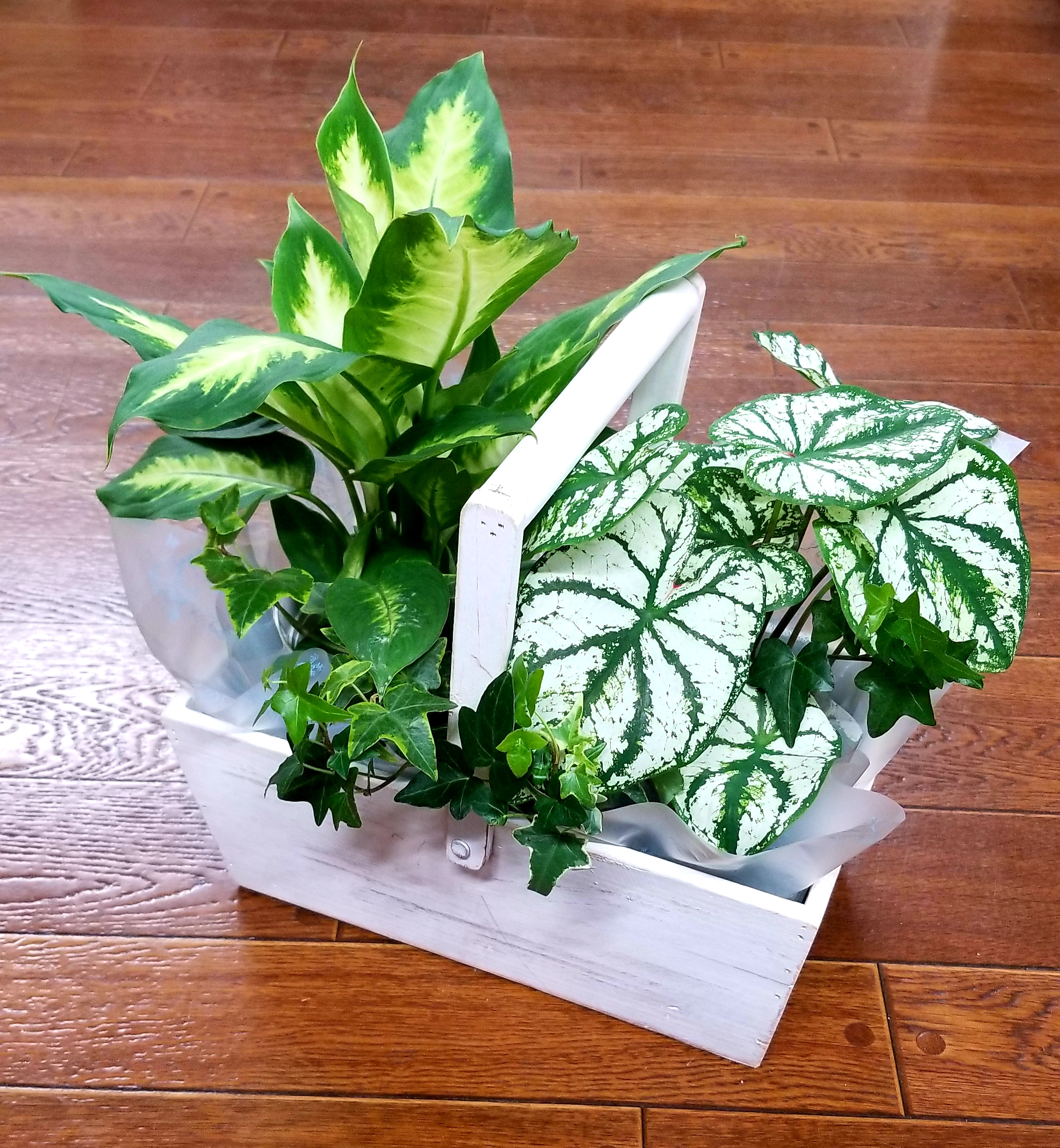 ウッドバスケットの観葉植物寄せ鉢 有 ガーデン甲斐 フラワーアレンジメント 花束