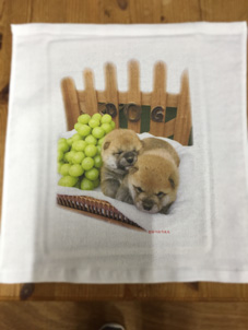 愛犬のタオル