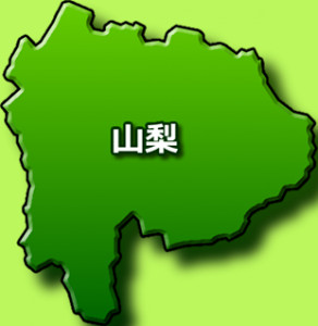 100% 山梨県民