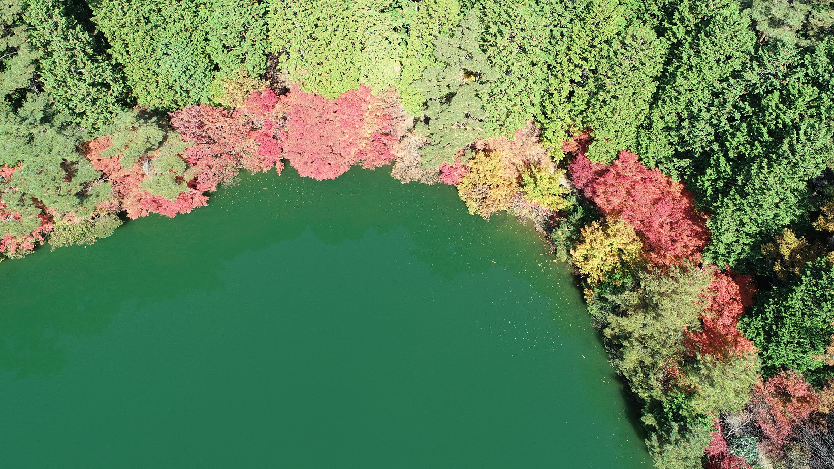 伊奈ヶ湖の紅葉　湖面上空約30m