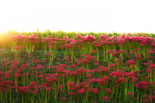 写真2-2.jpg
