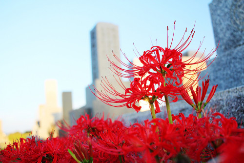 写真2-3.jpg