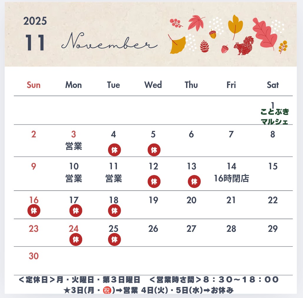 11月の予定🍁🍂