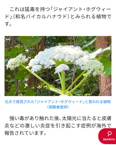 店主の「一日一言日記