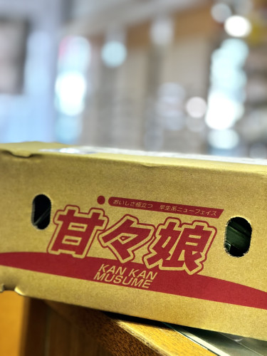 店主の「一日一言日記