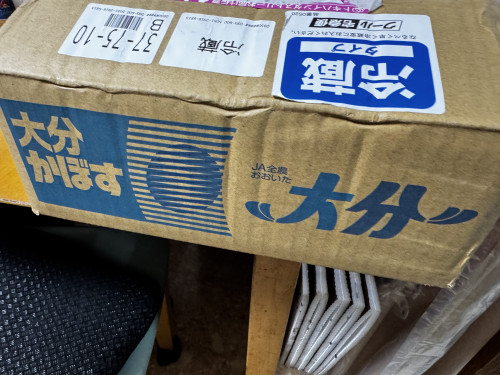 店主の「一日一言日記