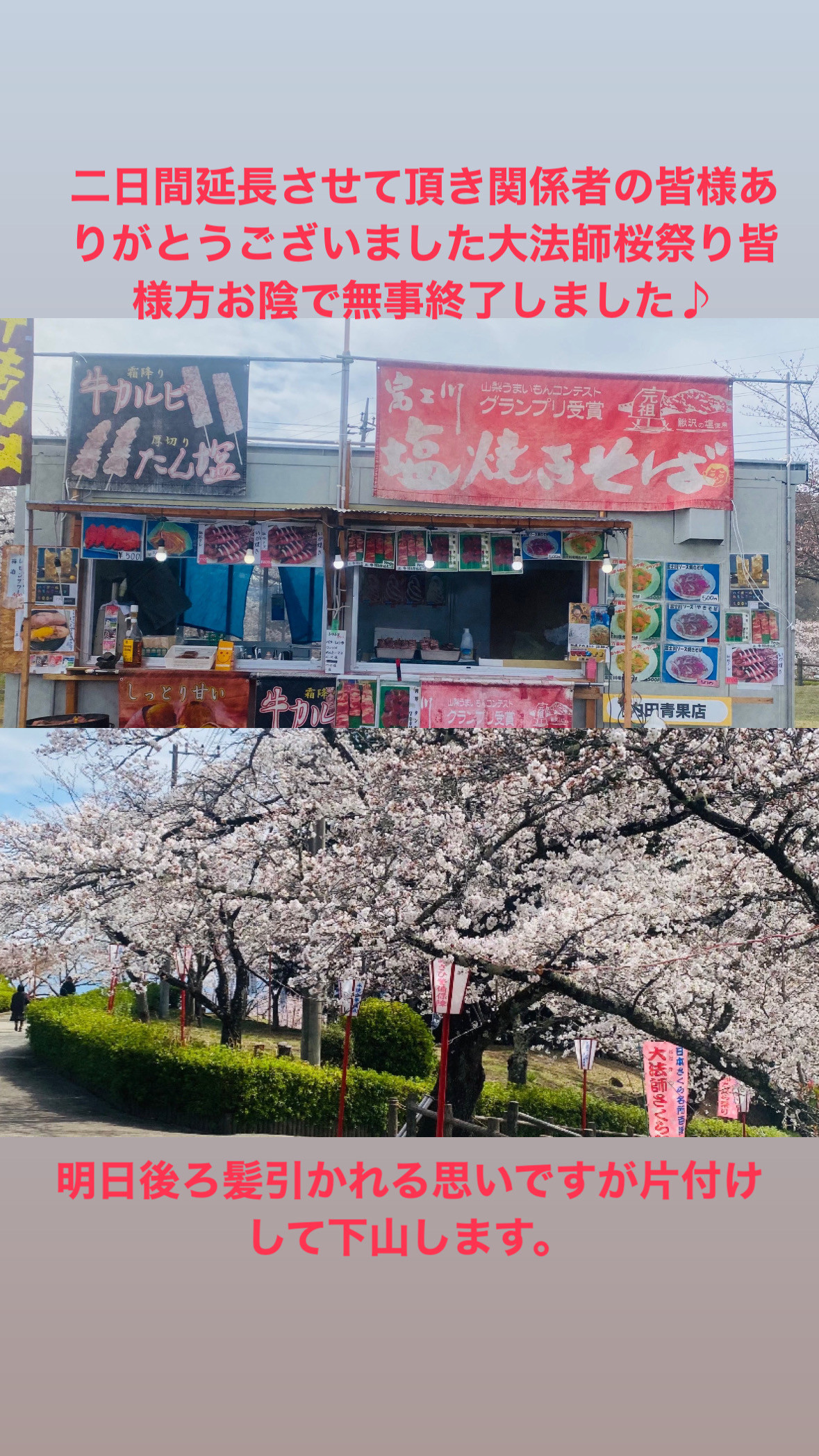 2025富士川町大法師桜祭り出店しました