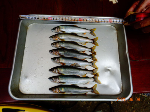 DSC01417.JPG