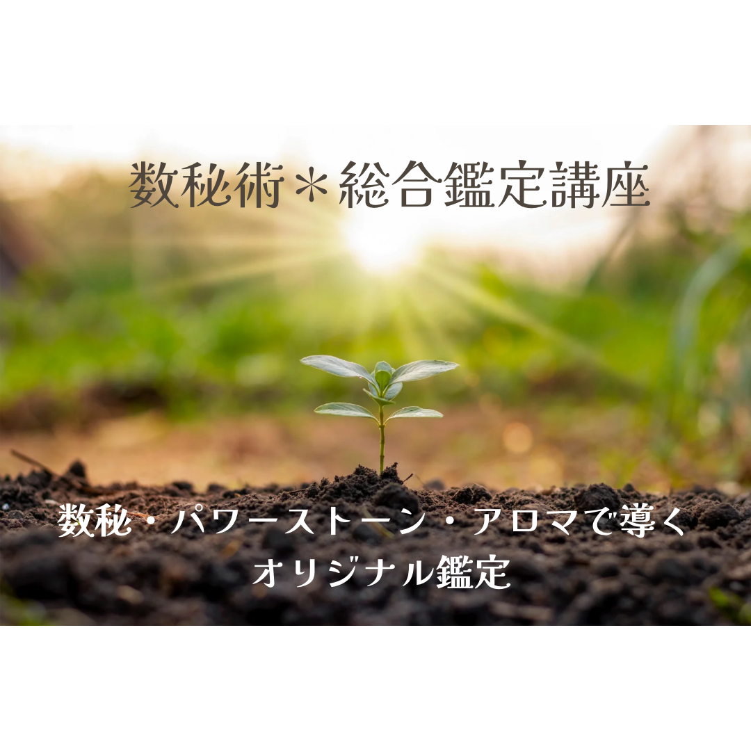 1/27(火)開催決定！　総合鑑定の対面講座です！