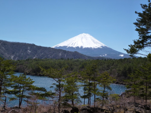 良い天気ならこんな眺めが！