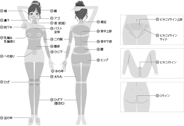 部位