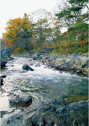 当館目の前を流れる　一級河川那珂川