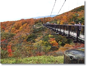 紅葉の見ごろを迎えた「つつじ吊橋」