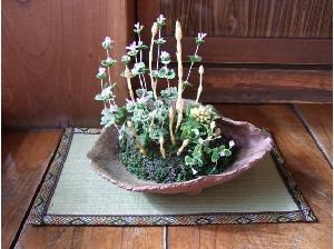 お花がミニゴざによって引き立ちます。