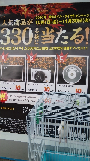 毎年恒例の秋のオイル＆タイヤ祭り