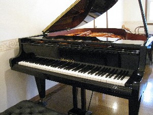 ベーゼンドルファーでのピアノ練習もできます！
