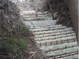 予防治山事業落石予防工外工事　沼代シダブ線
