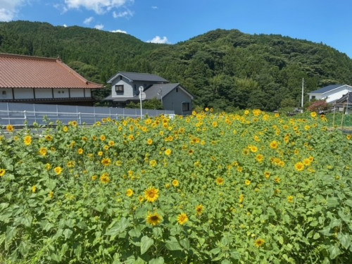 佐世保市北部商工会女性部