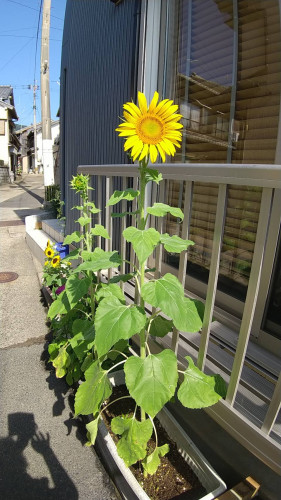 森田①.jpg