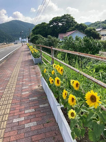 写真9.jpg