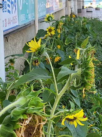 写真10.jpg