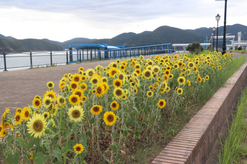 有川支部⑥.JPG