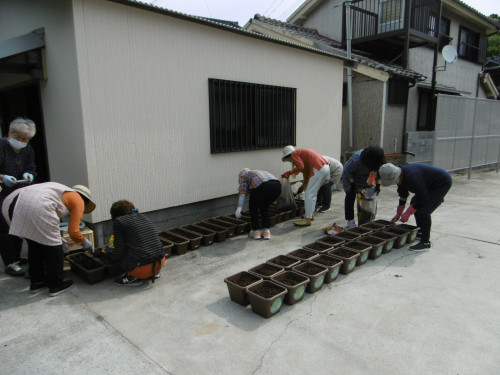 P1000681.JPG