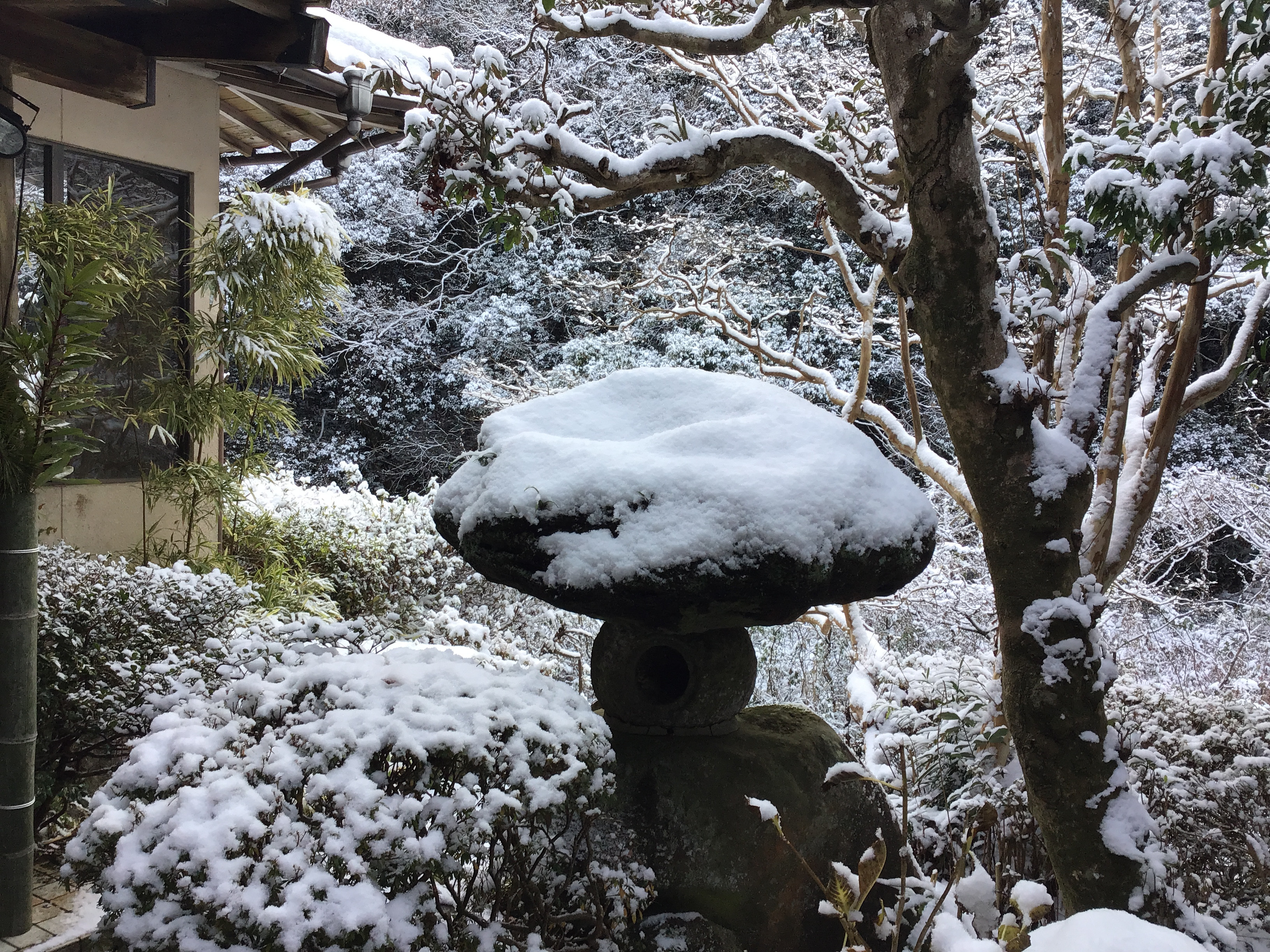本日1/8(金)臨時休業のお知らせ