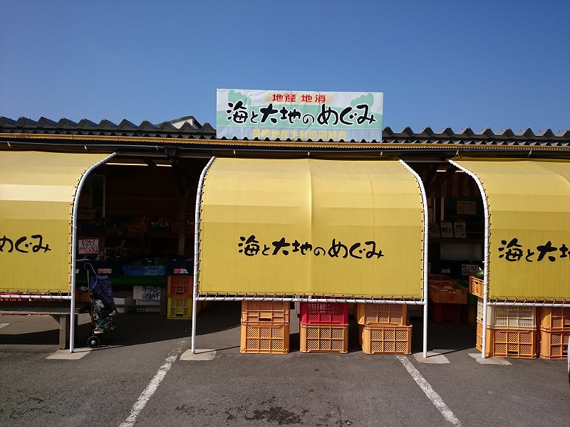 長崎魚市場の前にあります