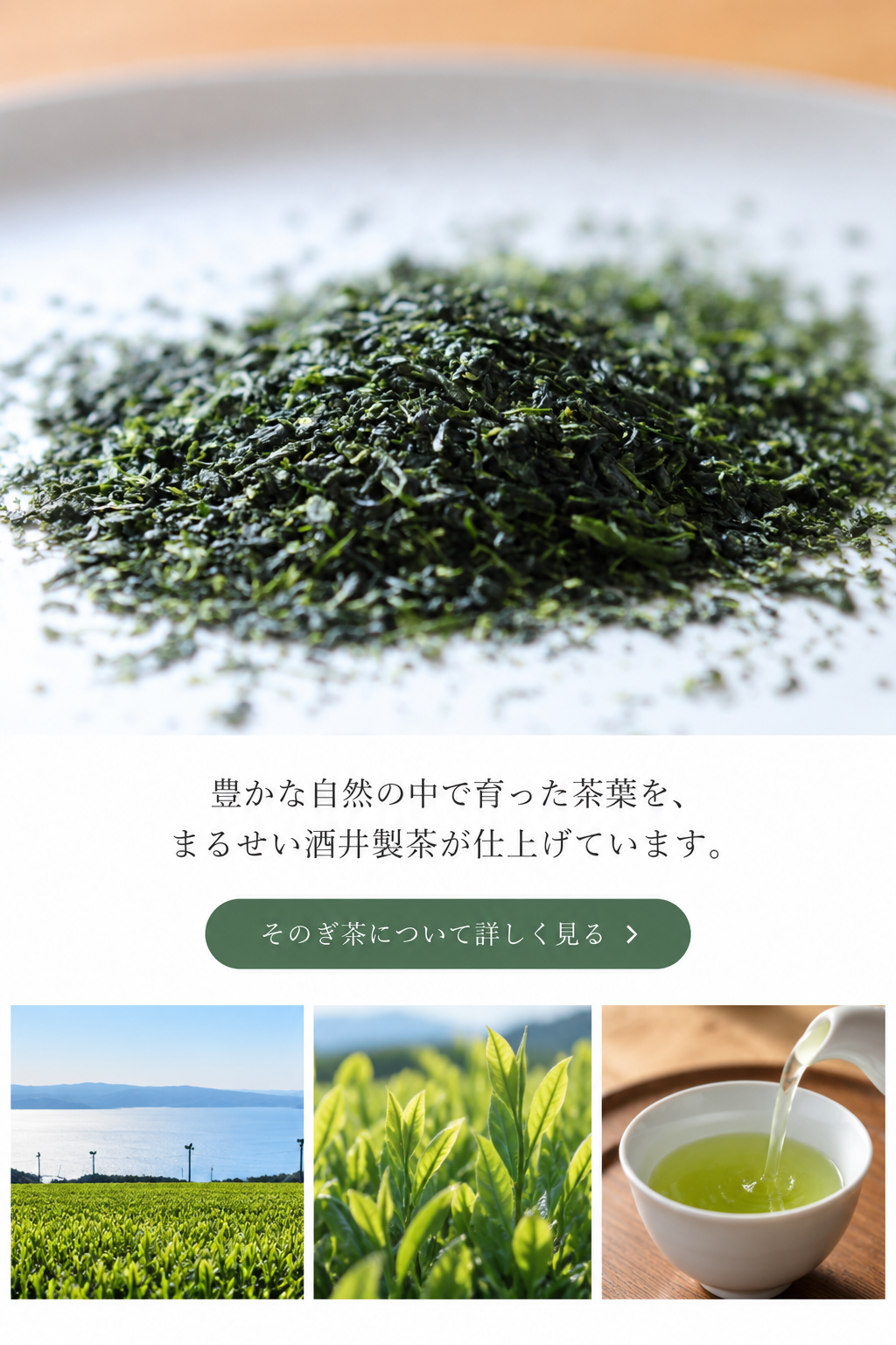 そのぎ茶について詳しく見る｜まるせい酒井製茶