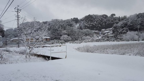 201702_1月15日の雪.jpg