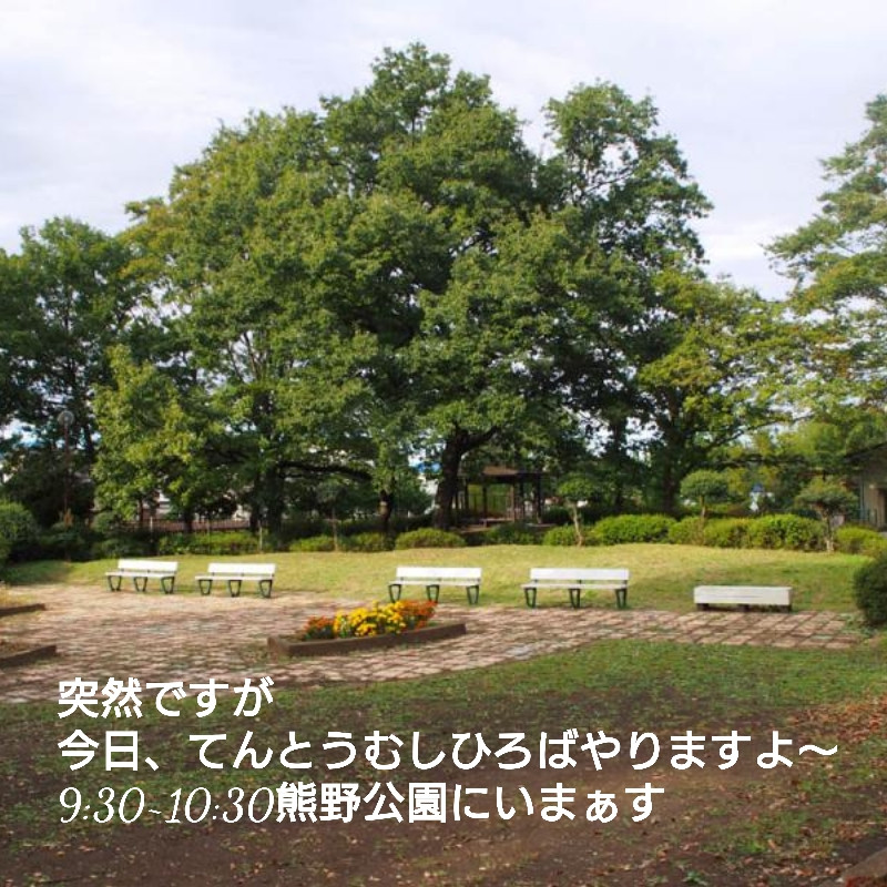 てんとうむしひろば@熊野公園